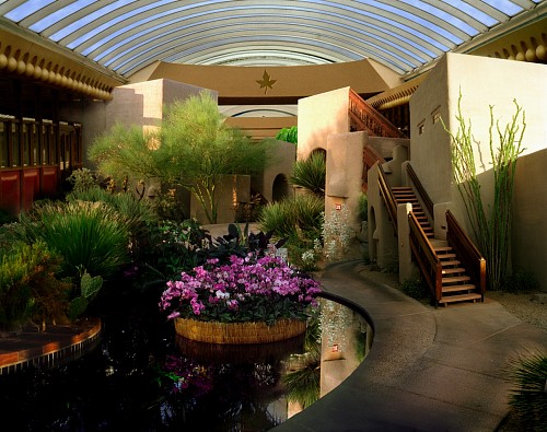 Oliver Wasow - Orchid show, Boulders Resort, Arizona